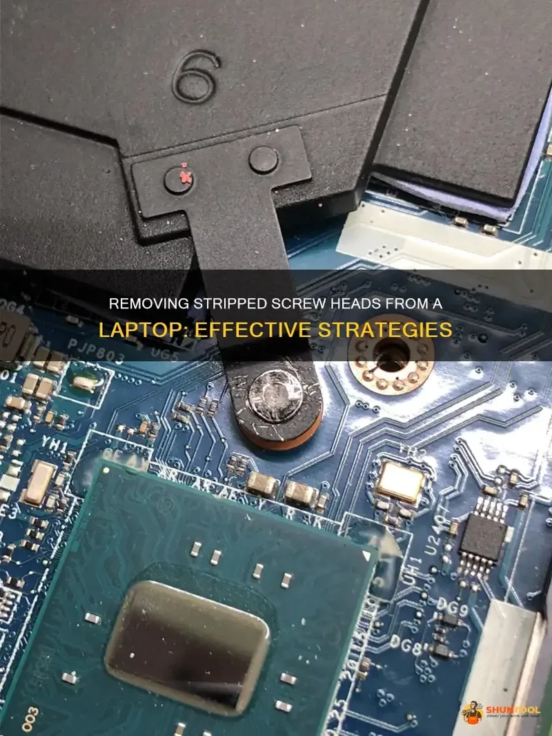 How to Remove Stripped Tiny Laptop Battery Screws: DIY Fixes 4 stripped laptop screw severity classification